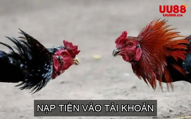 Nạp Tiền Vào Tài Khoản