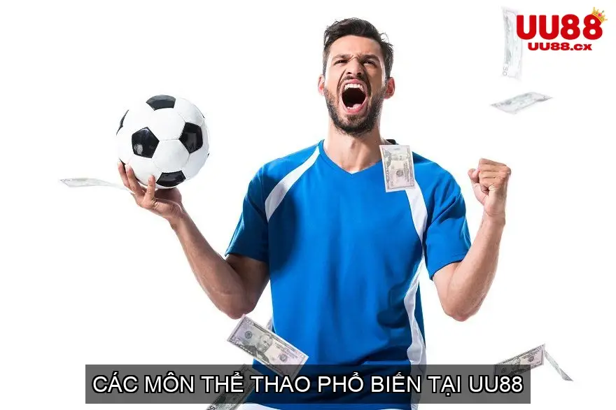 Các Môn Thể Thao Phổ Biến Tại UU88