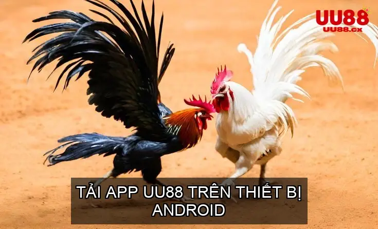 Tải App UU88 Trên Thiết Bị Android