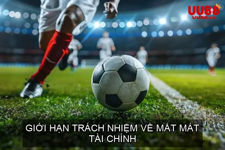 Giới Hạn Trách Nhiệm Về Mất Mát Tài Chính