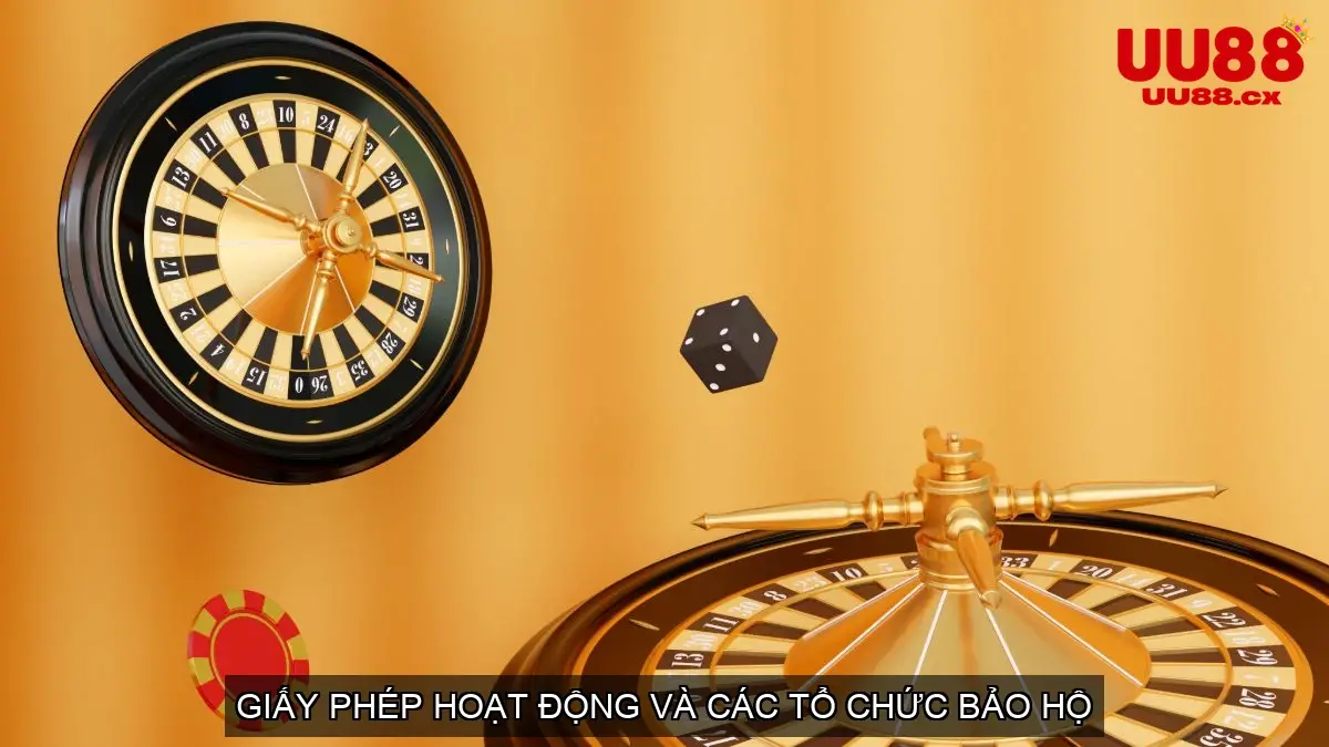 Giấy phép hoạt động và các tổ chức bảo hộ